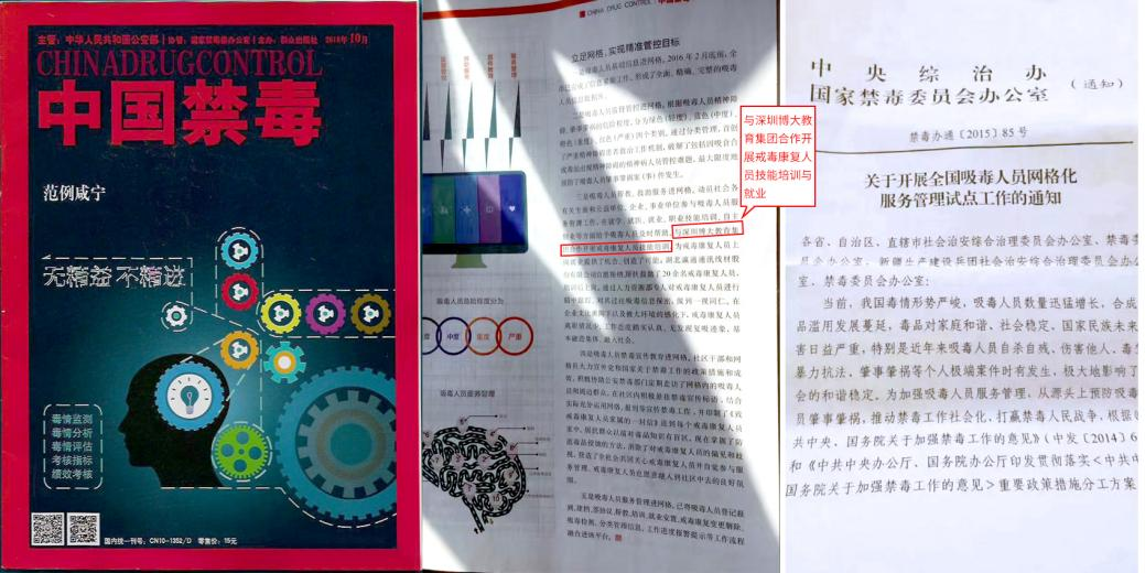 图片 8.png